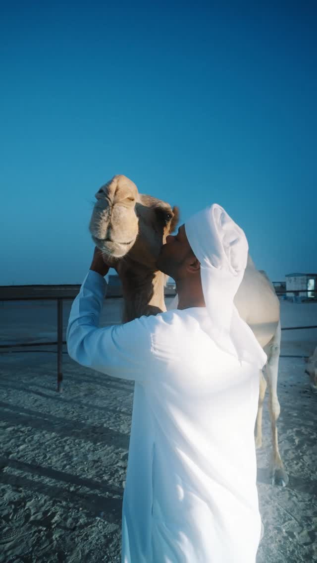 Sons of the Desert